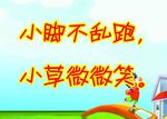 爱护花草