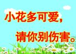 爱护花草树木