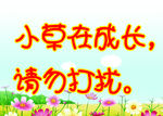 爱护花草