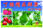 精品鲜果 鲜果 瓜 桃