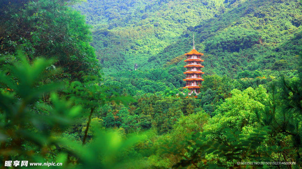 深圳 仙湖植物园