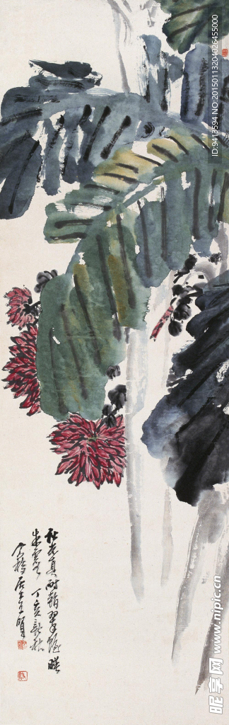 芭蕉