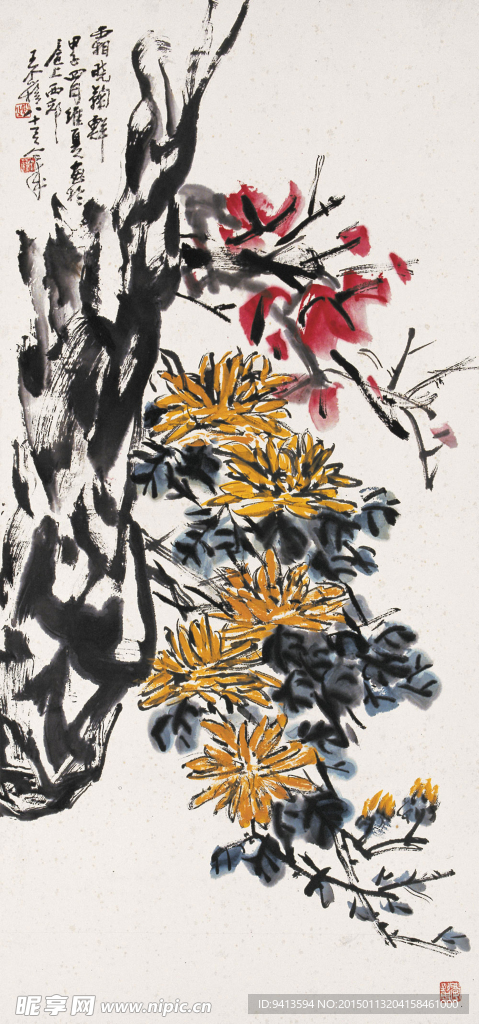 霜晓菊鲜