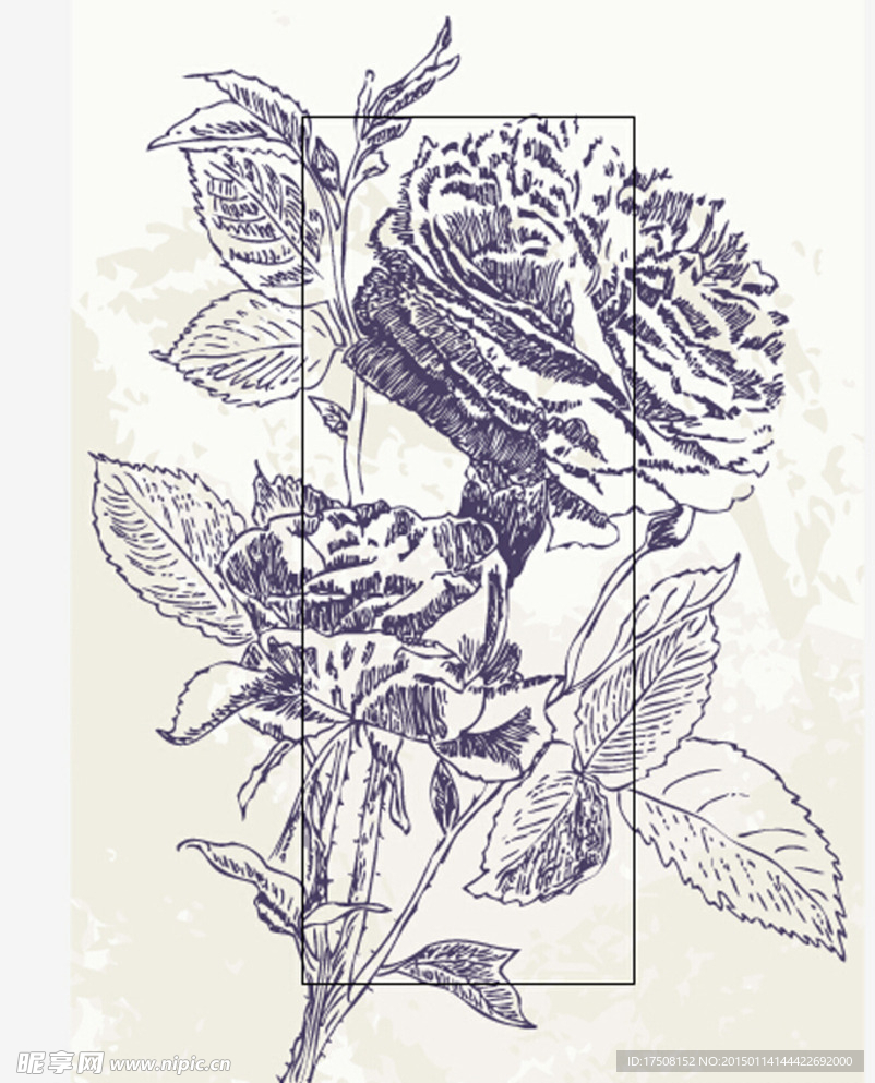 玫瑰花