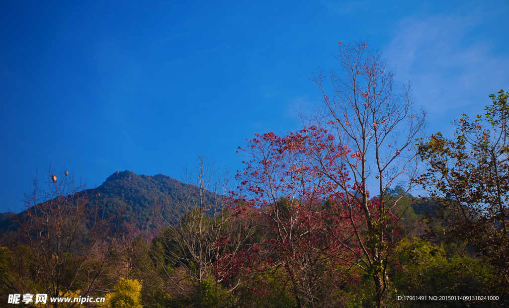 广东云髻山