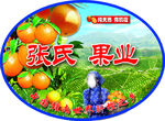 脐橙标签