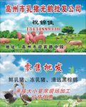 猪名片