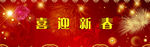 2015喜迎新春