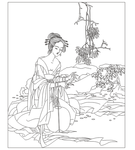 古典美女线条图