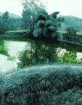 池塘竹林