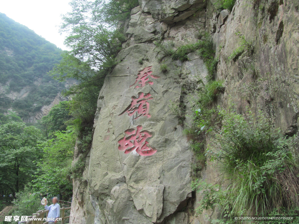 泰巅魂