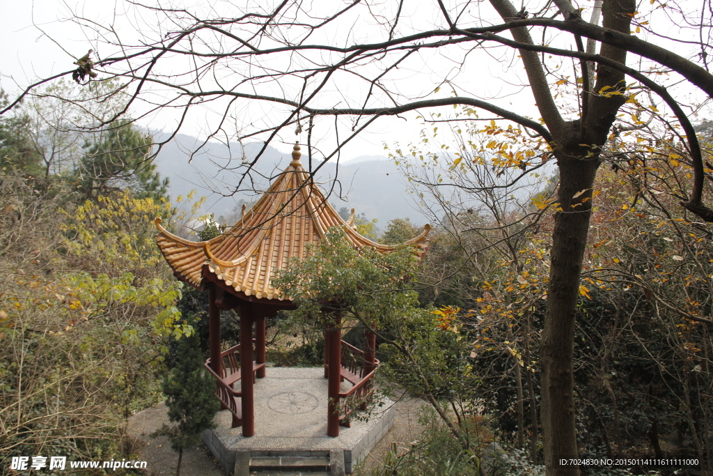 公园风景