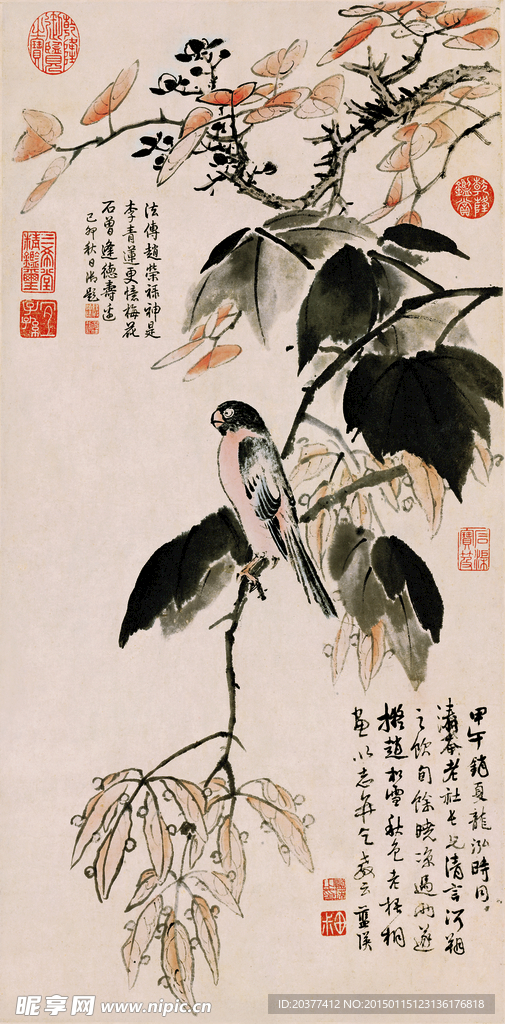 秋色梧桐 未分层