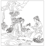 古典美女线条图