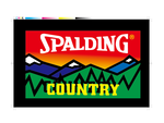 Spalding吊牌