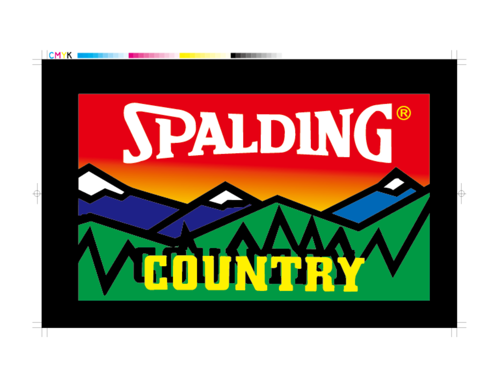 Spalding吊牌