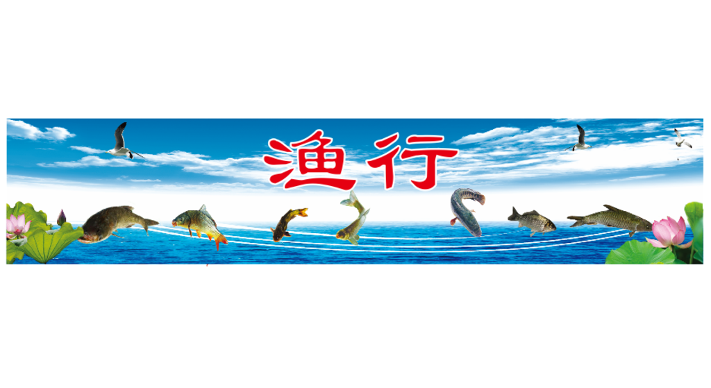 鱼行招牌