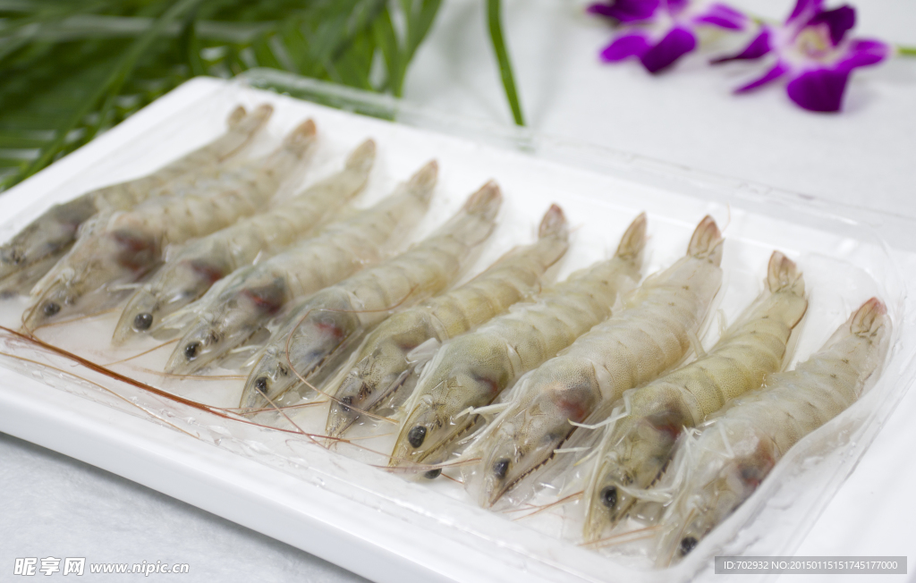 南美对虾