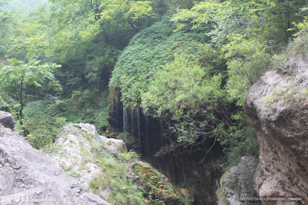 山林泉水