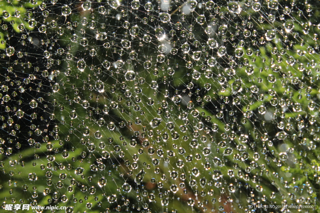 漂亮的水珠背景