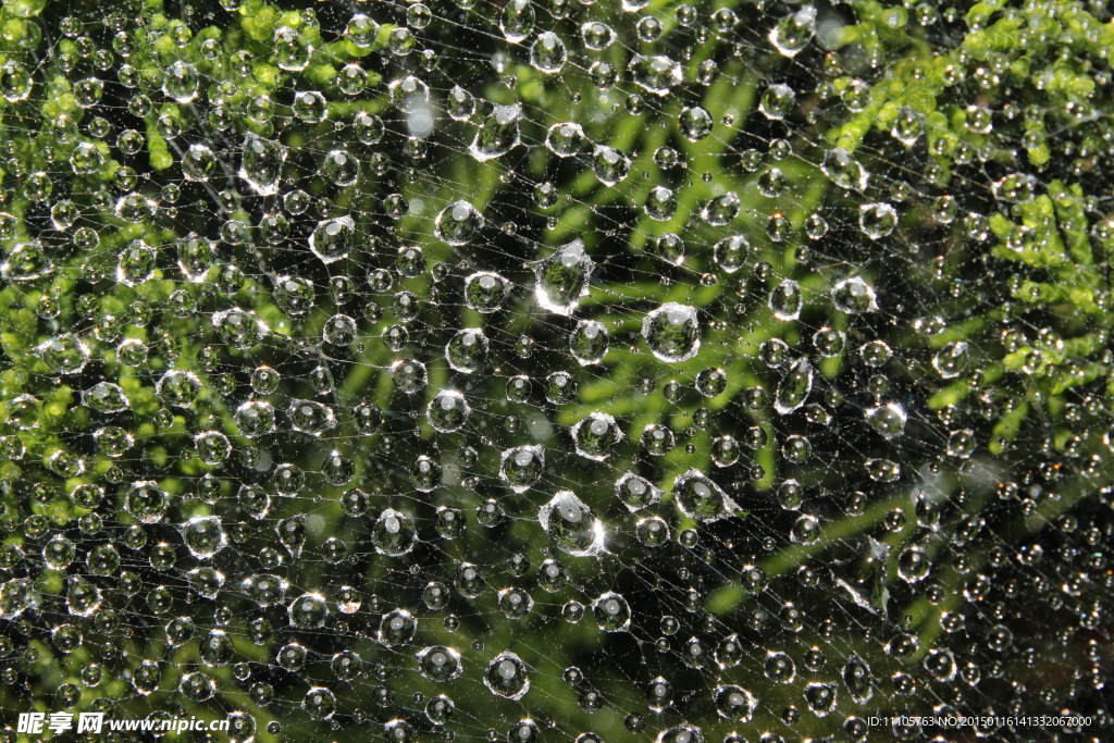 漂亮的水珠背景