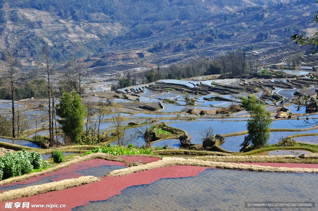 梯田风景