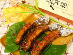 乡村大排