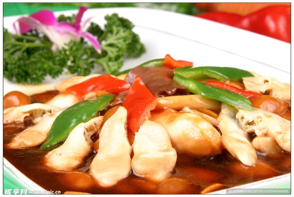 鲍贝三菌
