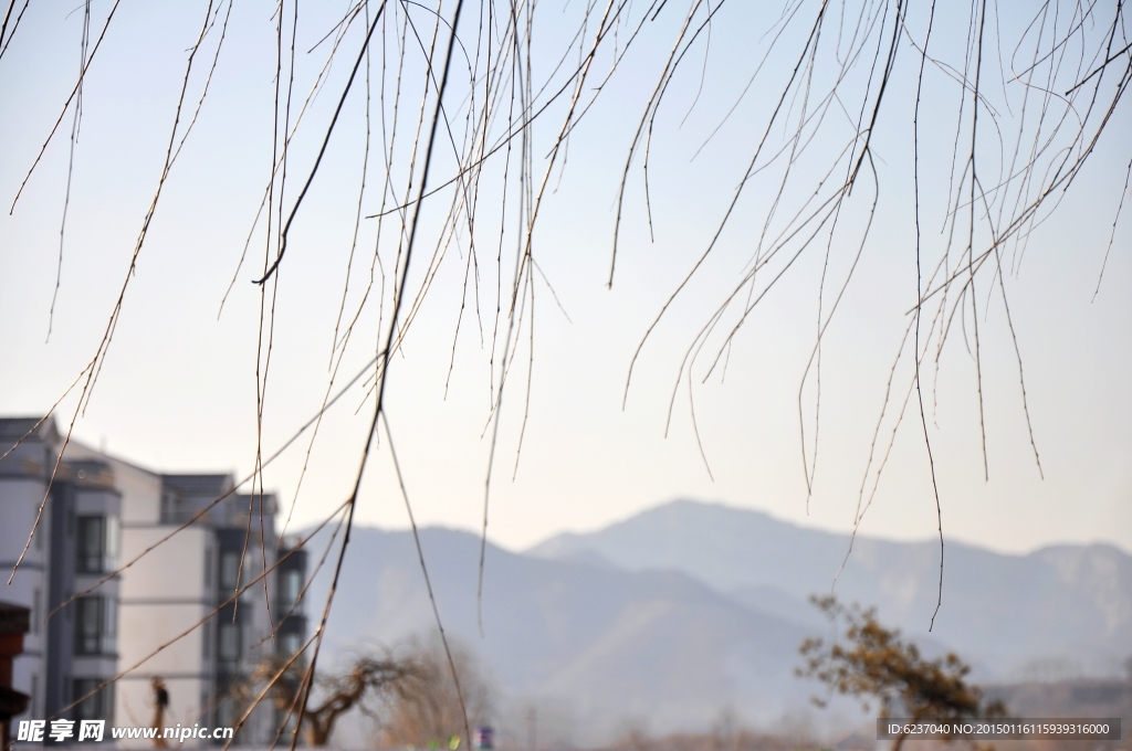 远山