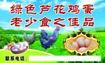 绿色芦花鸡蛋