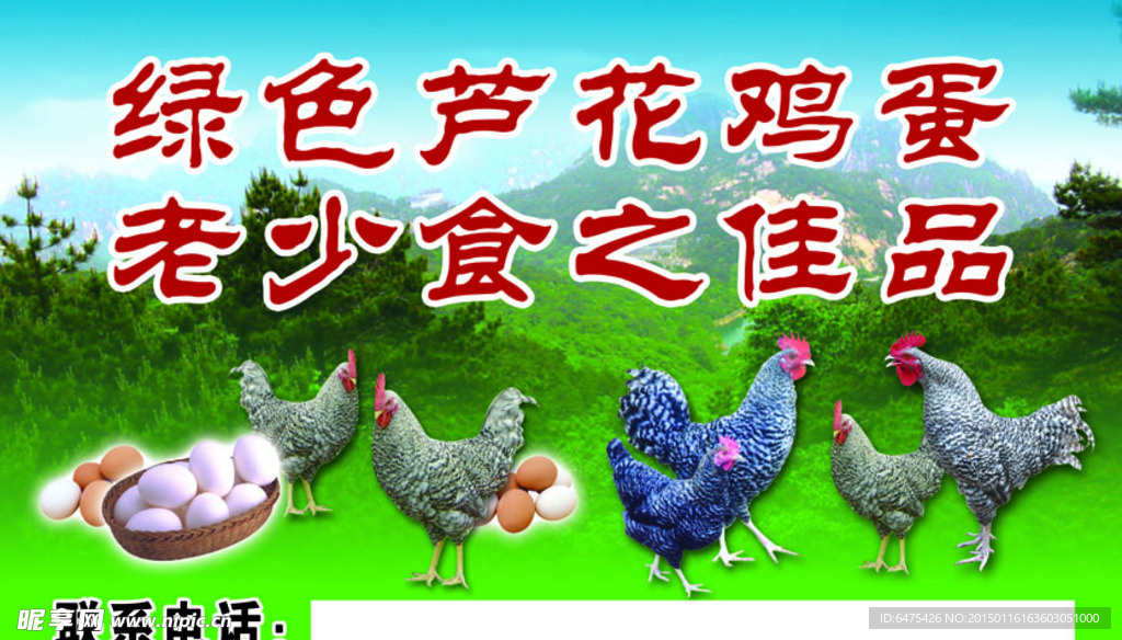 绿色芦花鸡蛋