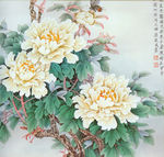 国画 牡丹