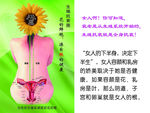 生殖抗衰图