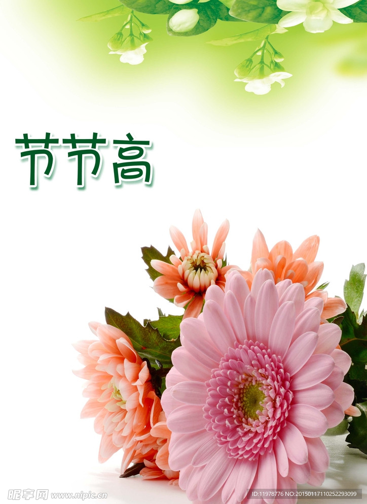 鲜花