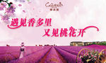 桃花节背景图