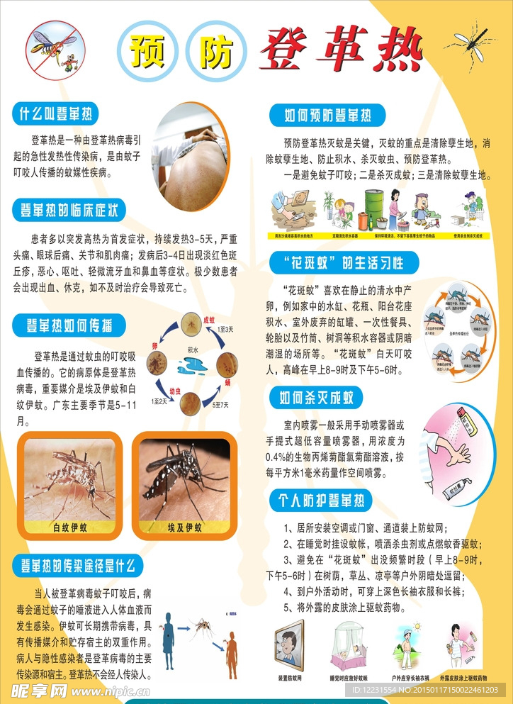 预防登革热