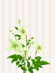 花纹背景素材