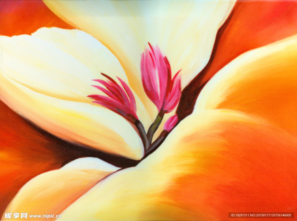 花卉插画