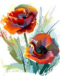 玫瑰花插画