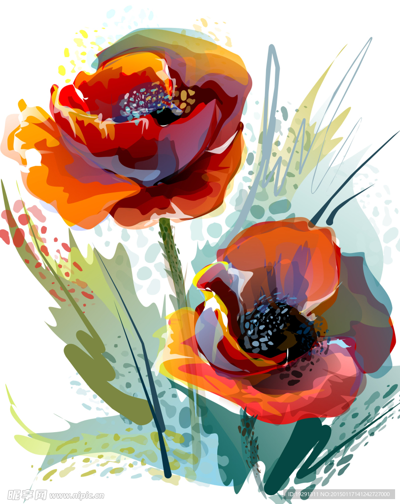 玫瑰花插画