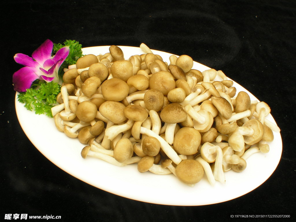 蟹味菇