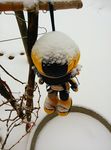 雪 布娃娃