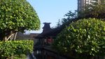 小区景观