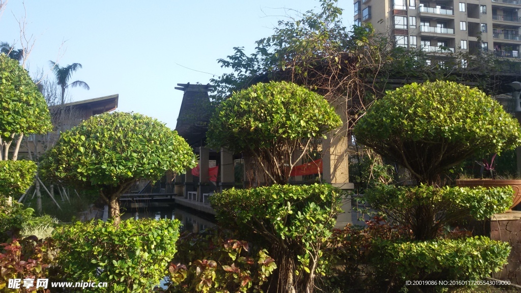 小区景观