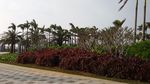 园林景观摄影