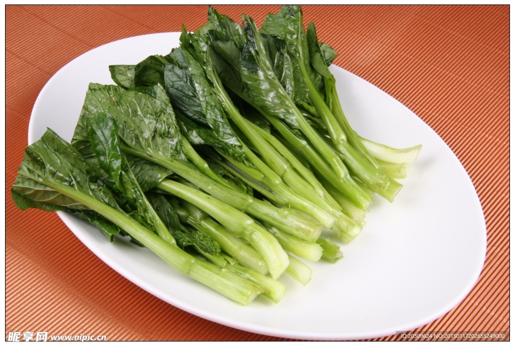 广东菜心