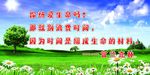 学校文化