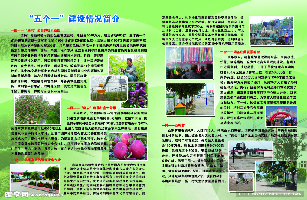 五个镇建设单页
