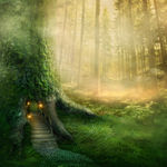 童话森林