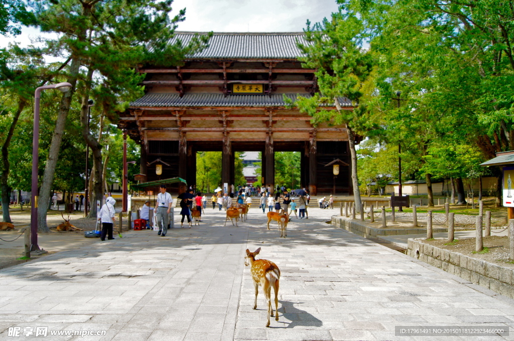 日本奈良
